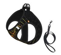 Ensemble Harnais et Laisse Anti-Traction Adventure Await Compass pour Chien, Gilet réfléchissant Ajustable pour Petits Chiens, Harnais en Maille Respirante pour Chiots, idéal pour Les promenades et l