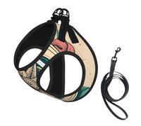 Ensemble Harnais et Laisse Anti-Traction Adventure Await Compass pour Chien, Gilet réfléchissant Ajustable pour Petits Chiens, Harnais en Maille Respirante pour Chiots, idéal pour Les promenades et l