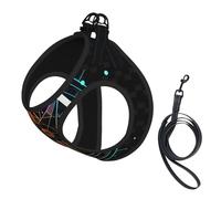 Ensemble Harnais et Laisse Anti-Traction Adventure Await Compass pour Chien, Gilet réfléchissant Ajustable pour Petits Chiens, Harnais en Maille Respirante pour Chiots, idéal pour Les promenades et l