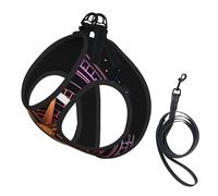 Ensemble Harnais et Laisse Anti-Traction Adventure Await Compass pour Chien, Gilet réfléchissant Ajustable pour Petits Chiens, Harnais en Maille Respirante pour Chiots, idéal pour Les promenades et l