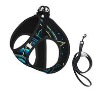 Ensemble Harnais et Laisse Anti-Traction Adventure Await Compass pour Chien, Gilet réfléchissant Ajustable pour Petits Chiens, Harnais en Maille Respirante pour Chiots, idéal pour Les promenades et l