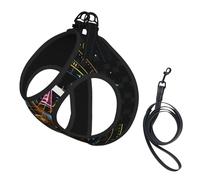 Ensemble Harnais et Laisse Anti-Traction Adventure Await Compass pour Chien, Gilet réfléchissant Ajustable pour Petits Chiens, Harnais en Maille Respirante pour Chiots, idéal pour Les promenades et l