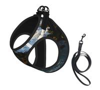 Ensemble Harnais et Laisse Anti-Traction pour Chien « Là où l'océan Rencontre Les rochers », Gilet réfléchissant Ajustable pour Petits Chiens, Harnais en Maille Respirante pour Chiots, idéal pour Les