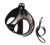 Ensemble harnais et laisse avec microphone imprimé note de musique pour chien, gilet réfléchissant et réglable pour chiens de petite, moyenne et grande taille