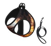 Ensemble harnais et laisse de basket-ball sur le feu et l'eau - Imprimé flammes et éclaboussures de flamme pour animal domestique - Harnais réglable en maille pour chiots et chats de petite, grande et