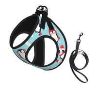 Ensemble harnais et laisse d'hiver pour chat et petit chien, réglable, réfléchissant et anti-fugue avec doublure en maille douce et respirante