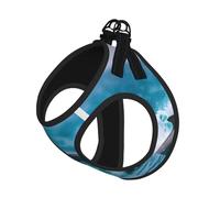 Ensemble Harnais et Laisse Dolphins in The Sea pour Chat et Chien, Gilet réfléchissant pour Petits Animaux de Compagnie, Anti-Fuite