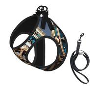Ensemble harnais et laisse doux à imprimé engrenages steampunk cool pour animal de compagnie, harnais en maille réglable pour chiots et chats de petite et grande taille
