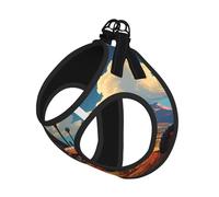 Ensemble harnais et laisse doux à imprimé tracteur rouge de ferme pour animal de compagnie, harnais réglable en maille pour chiots et chats de petite, moyenne et grande taille