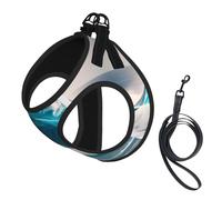 Ensemble harnais et laisse doux à imprimé vague de mer pour animal de compagnie, harnais en maille réglable pour chiens et chats de petite, moyenne et grande taille