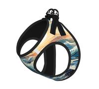 Ensemble harnais et laisse doux en maille réglable pour chiots et chats de petite, moyenne et grande taille Motif voilier et mouette