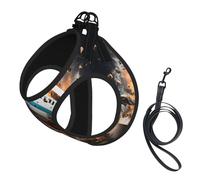 Ensemble harnais et laisse doux imprimé rugby on Fire pour animal domestique, harnais réglable en maille pour chiots et chats de petite, petite et grande taille