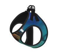 Ensemble harnais et laisse doux pour animal de compagnie, motif îles des Caraïbes, harnais réglable en maille pour chiots et chats de petite, petite et grande taille