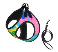 Ensemble harnais et laisse doux pour animal domestique avec imprimé ballon Happy Birthday - Harnais en maille réglable pour chiens et chats de petite, moyenne et grande taille