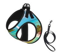 Ensemble harnais et laisse doux pour animal domestique - Motif paysage des Caraïbes - Harnais réglable en maille pour chiots et chats de petite, petite et grande taille