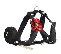 Ensemble harnais et laisse en dentelle pour chien - Design floral réglable pour promener et dresser les chiens de petite et grande taille - Harnais confortable et tendance pour les activités de plein
