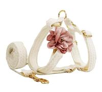 Ensemble harnais et laisse en dentelle pour chien - Design floral réglable pour promener et dresser les chiens de petite et grande taille - Harnais confortable et tendance pour les activités de plein