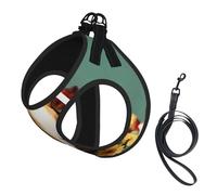 Ensemble harnais et laisse en maille douce avec imprimé cochon d'Inde pour animal domestique chiot chat gilet rembourré sans traction