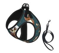 Ensemble harnais et laisse en maille douce avec imprimé hiboux sur des branches d'arbre pour animal domestique, chiot, chat, gilet rembourré confortable sans traction