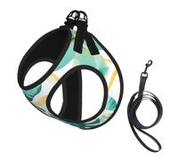 Ensemble harnais et laisse en maille douce avec imprimé sur le thème des plantes tropicales pour animal domestique, chiot, chat, gilet rembourré confortable sans traction