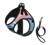 Ensemble harnais et laisse en maille douce imprimé avion dans les lumières du soir pour animal domestique chiot chat gilet rembourré sans traction