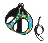 Ensemble harnais et laisse en maille douce imprimé hawaïen pour animal domestique, chiot, chat, gilet rembourré confortable sans traction
