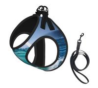 Ensemble harnais et laisse en maille douce imprimé vague océan pour animal domestique, chiot, chat, gilet rembourré confortable anti-traction