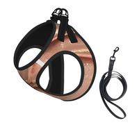 Ensemble harnais et laisse en maille douce pour chien, chiot, chat, imprimé à paillettes or rose