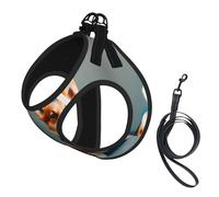 Ensemble harnais et laisse en maille douce pour chien Corgi avec imprimé mignon