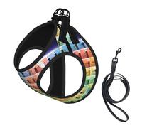 Ensemble harnais et laisse en maille souple imprimé tableau périodique des éléments pour animal domestique, chiot, chat, gilet rembourré confortable sans traction