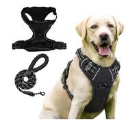 Ensemble Harnais et Laisse for Chien Confort | Gilet rembourré réglable avec Maille Respirante et Boucles sécurisées - Clip de Laisse Avant(Black,S)