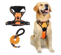 Ensemble Harnais et Laisse for Chien Confort | Gilet rembourré réglable avec Maille Respirante et Boucles sécurisées - Clip de Laisse Avant(Orange,XL)