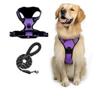 Ensemble Harnais et Laisse for Chien Confort | Gilet rembourré réglable avec Maille Respirante et Boucles sécurisées - Clip de Laisse Avant(Purple,XS)