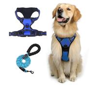 Ensemble Harnais et Laisse for Chien, Gilet Souple réfléchissant et Respirant, réglable avec Une Laisse for Chien Robuste Gratuite(Blue,M)