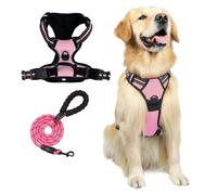 Ensemble Harnais et Laisse for Chien, Gilet Souple réfléchissant et Respirant, réglable avec Une Laisse for Chien Robuste Gratuite(Pink,S)