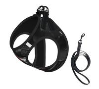 Ensemble harnais et laisse gothiques pour chien et chat - Réfléchissant et réglable - Imprimé roses noires
