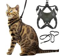 Ensemble Harnais et Laisse Houdini™ pour Grand Chat (résistant à l'évasion) par OutdoorBengal pour Promener Les Grands Chats (L)
