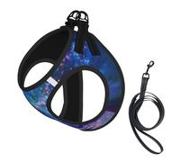 Ensemble harnais et laisse imprimé Northern Lights pour chien, gilet réfléchissant et réglable pour chiens de petite, moyenne et grande taille