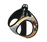 Ensemble harnais et laisse imprimé Turtles on The Beach pour animal domestique, harnais réglable en maille pour chiots et chats de petite, petite et grande taille