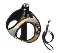 Ensemble harnais et laisse imprimé Turtles on The Beach pour animal domestique, harnais réglable en maille pour chiots et chats de petite et grande taille