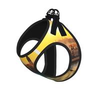 Ensemble harnais et laisse pour animal de compagnie, motif coucher de soleil à Barcelone, harnais réglable en maille pour chiots et chats de petite et grande taille
