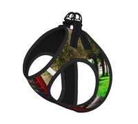 Ensemble Harnais et Laisse pour Cabine téléphonique Britannique pour Chat et Chien, Gilet réfléchissant pour Petits Animaux de Compagnie, Anti-Fuite