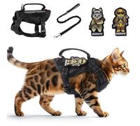 Ensemble Harnais et Laisse pour Chat, Anti-évasion, réglable, réfléchissant, Harnais Tactique pour Grands Chats, avec écussons, Gilet d'été Respirant, Rembourrage en Maille Douce