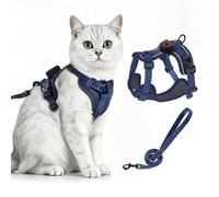 Ensemble harnais et laisse pour chat avec support AirTag, gilet anti-fugue