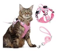 Ensemble harnais et laisse pour chat avec support AirTag, gilet anti-fuite | Harnais réglable anti-fugue avec laisse pour promenades en plein air du grand chat, veste en maille douce