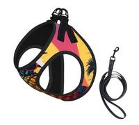 Ensemble harnais et laisse pour chat et chien, motif ananas, lunettes de soleil et fruits, réfléchissant, réglable, anti-fugue avec maille douce et respirante, pour petits animaux de compagnie et