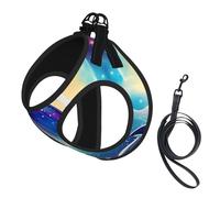 Ensemble Harnais et Laisse pour Chat et Chien, Motif Ciel étoilé coloré, Motif Dauphin océan, Gilet réfléchissant pour Petits Animaux de Compagnie, Anti-Fuite