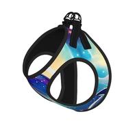 Ensemble Harnais et Laisse pour Chat et Chien, Motif Ciel étoilé coloré, Motif Dauphin océan, Gilet réfléchissant pour Petits Animaux de Compagnie, Anti-Fuite