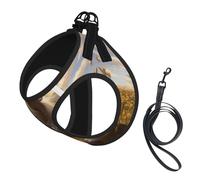 Ensemble harnais et laisse pour chat et chien, réfléchissant, réglable, anti-fuite, avec maille douce et respirante, pour petits animaux de compagnie et chatons chiots