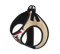Ensemble harnais et laisse pour chat et petit chien avec motif drapeau du New Jersey Map02, réglable, réfléchissant et anti-fugue avec doublure en maille douce et respirante